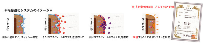 毛髪強化システムのイメージ