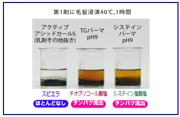 タンパク質流出実験