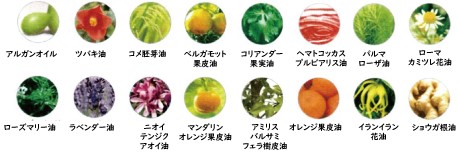16種類の植物オイル
