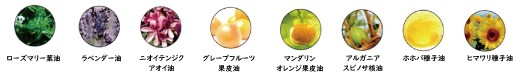 8種類の植物オイル