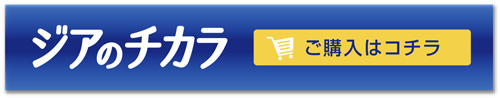 ジアのチカラ