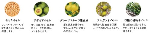 5種類の植物オイル