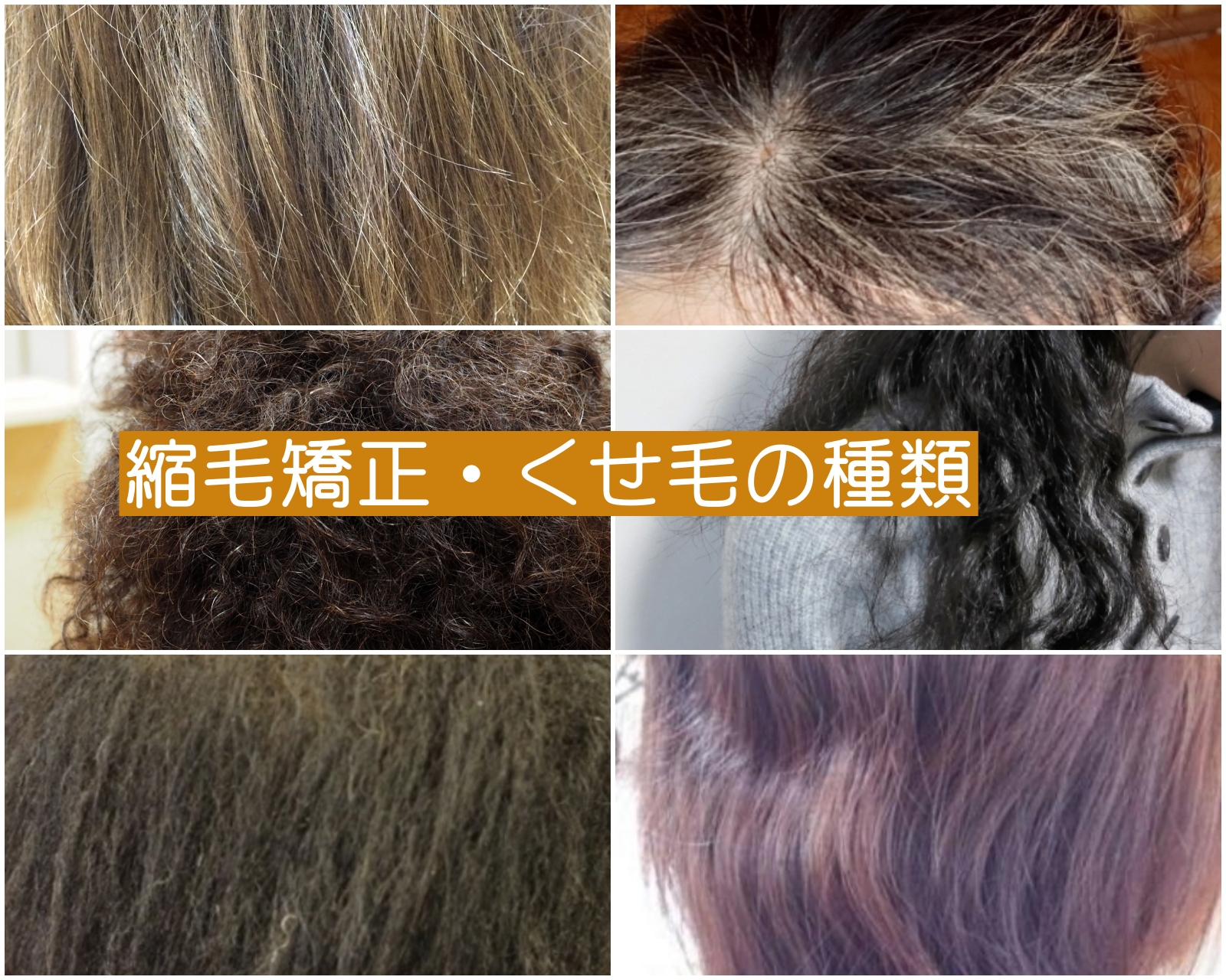 美容専門知識 縮毛矯正技術 くせ毛の種類と特徴 地域 1で繁盛する美容室へ ビューティベンダー株式会社