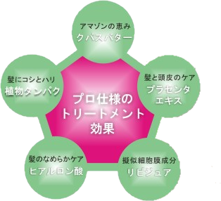 成分表