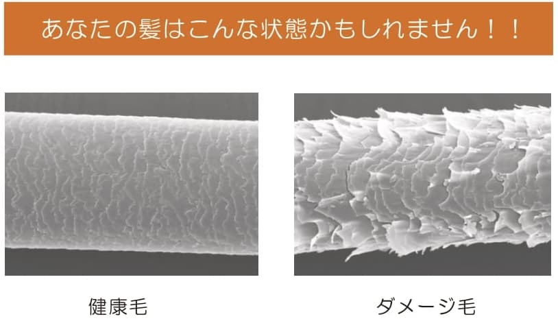 あなたの髪はこんな状態かもしれません