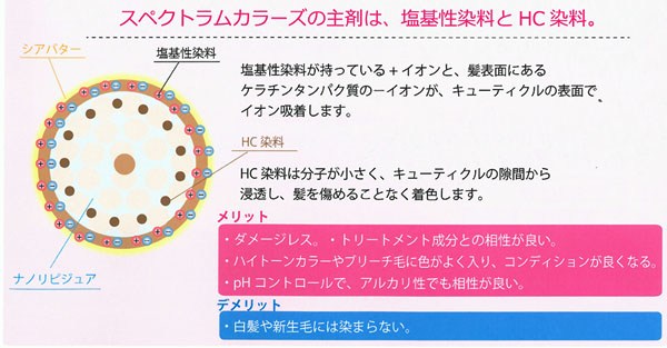 スペクトラムカラーズ