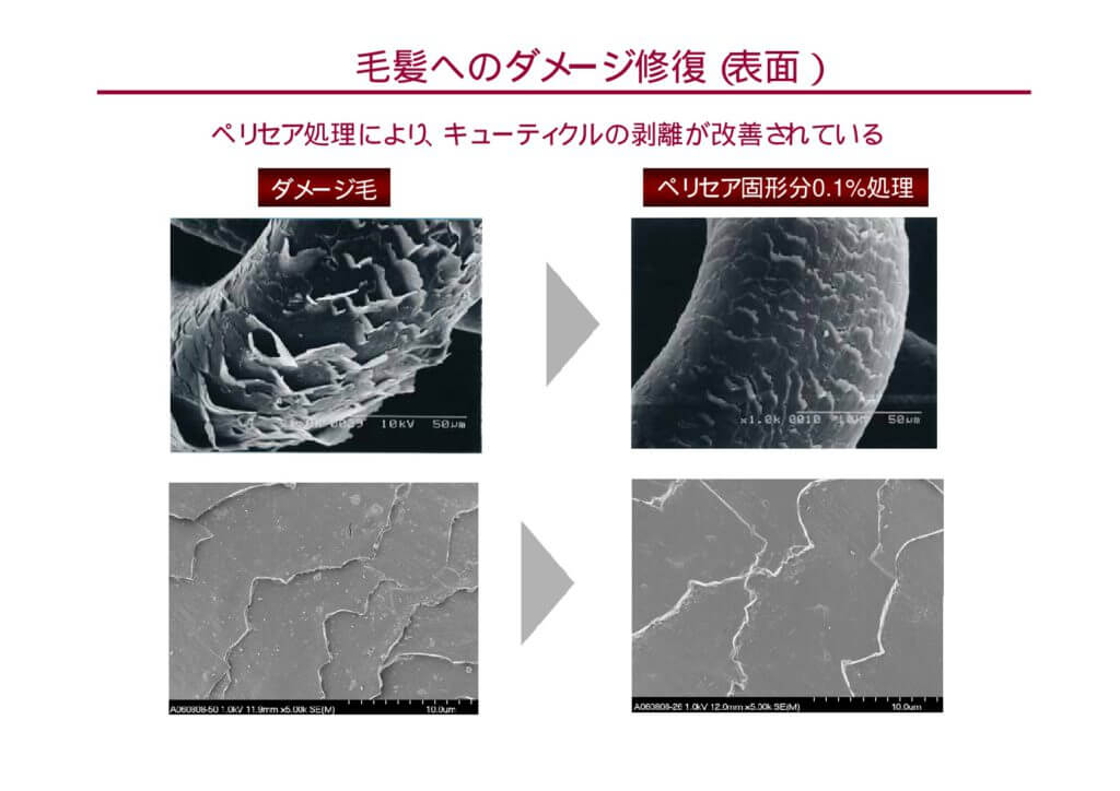 ペリセア