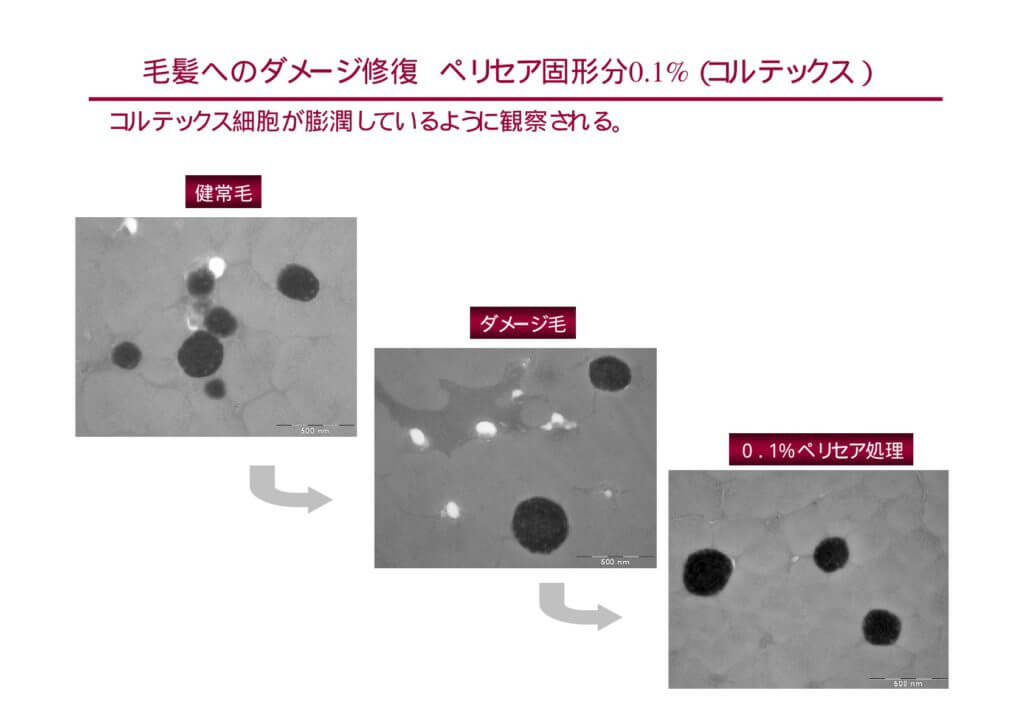 ペリセア