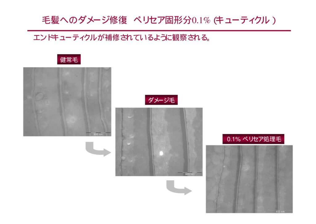 ペリセア