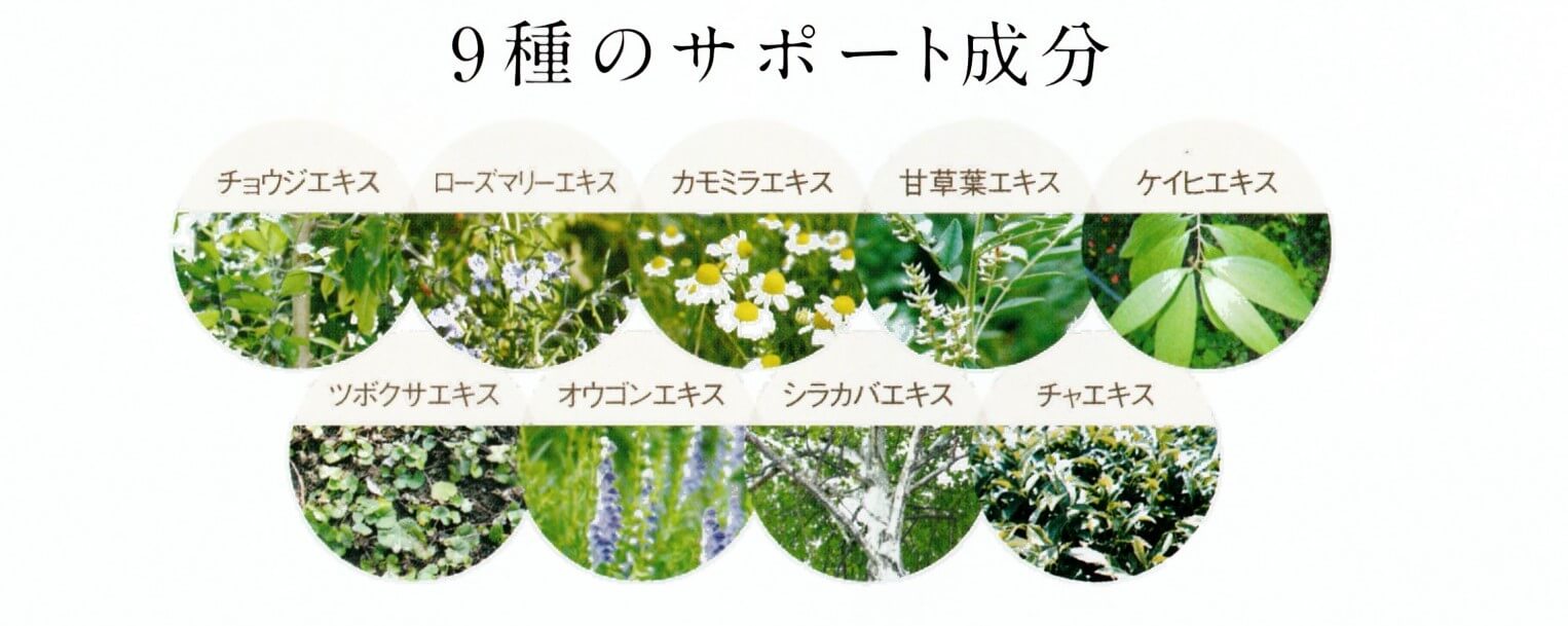 9種の天然サポート成分チョウジエキスローズマリーエキスカモミラエキス甘草葉エキスケイヒエキスツボクサエキスオウゴンエキスシラカバエキスチャエキス