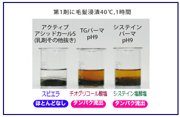 FMCB理論