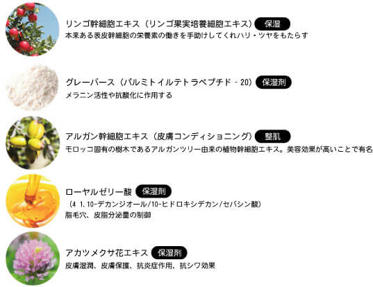 髪の健康にこだわった成分&調合
