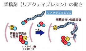 架橋性リアクティブレジン